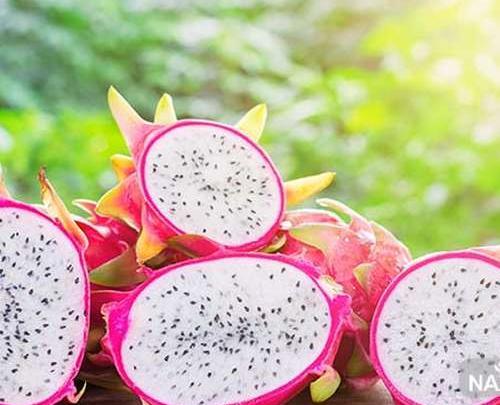 عکس میوه اژدها سفید