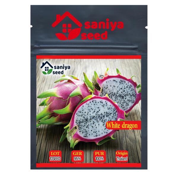 عکس میوه اژدها سفید