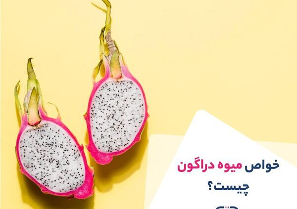 عکس میوه اژدها سفید