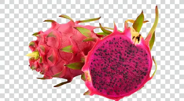 عکس میوه اژدها سفید