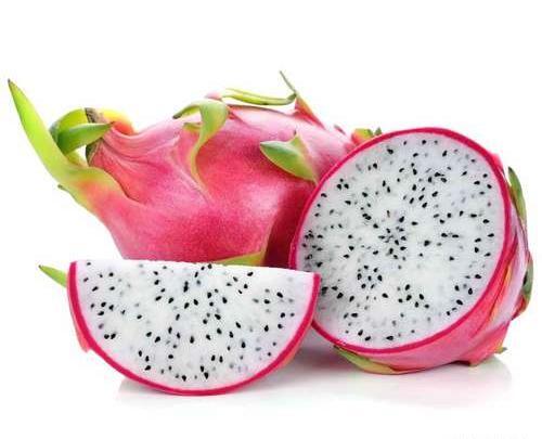 عکس میوه اژدها سفید