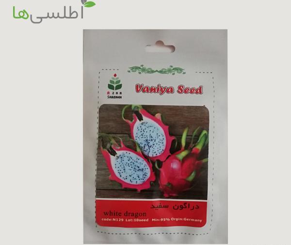 عکس میوه اژدها سفید