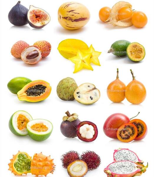 عکس میوه اژدها سفید