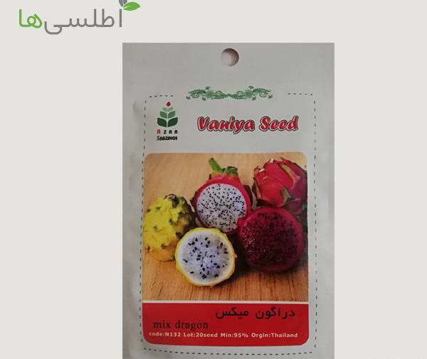 عکس میوه اژدها سفید