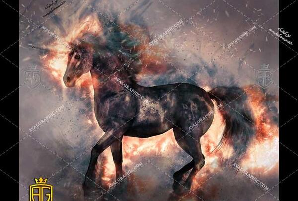 عکس سیاه و سفید اسب تک شاخ