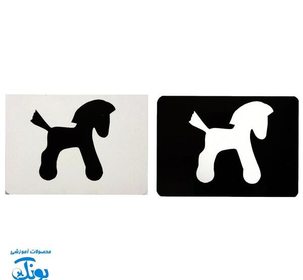 عکس های سیاه و سفید اسکلت