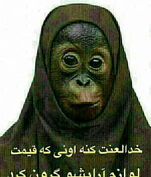 آرایش عکس میمون زشت
