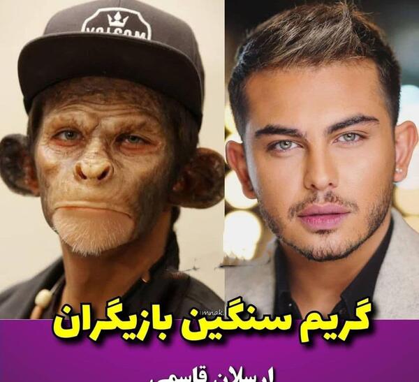 آرایش عکس میمون زشت