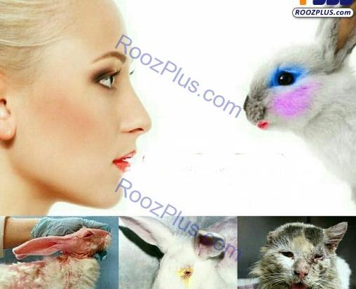 آرایش عکس میمون زشت