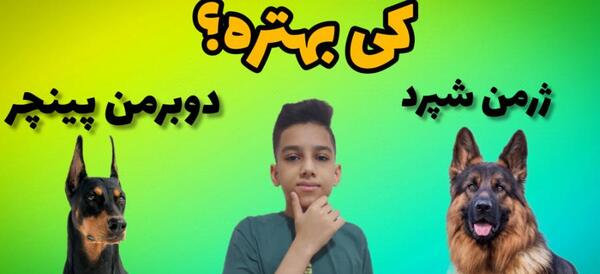 عکس سگ ژرمن شپرد و دوبرمن