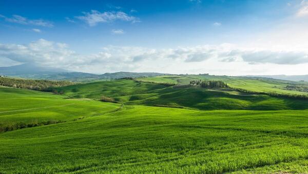 عکس های جدید زشت