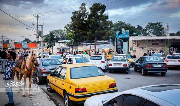 عکس میمون زشت چاق