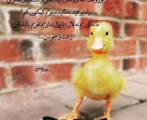 عکس دختران زشت خنده دار