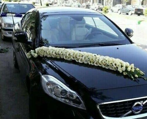 عکس ماشین ژیان ابی