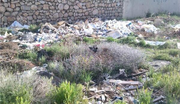 عکس زشت از طبیعت