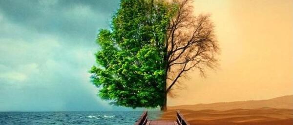 عکس های زشت طبیعت