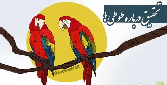 عکس زشت ترین طوطی دنیا