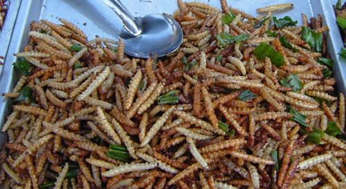 عکس زشت ترین غذای دنیا