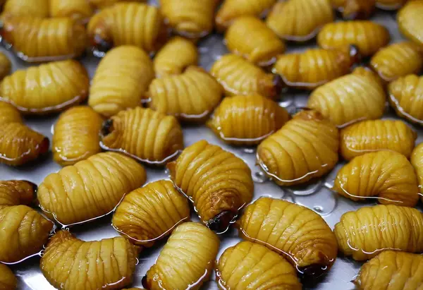 عکس زشت ترین غذای جهان
