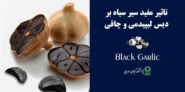 عکس زشت کارت ملی نی نی سایت