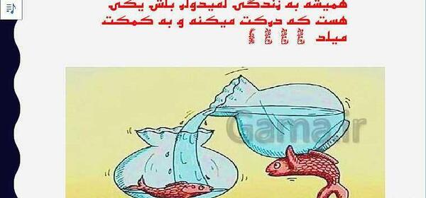 چند عکس زشت و زیبا برای تفکر هشتم