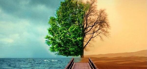 عکس نقاشی زشت و زیبا