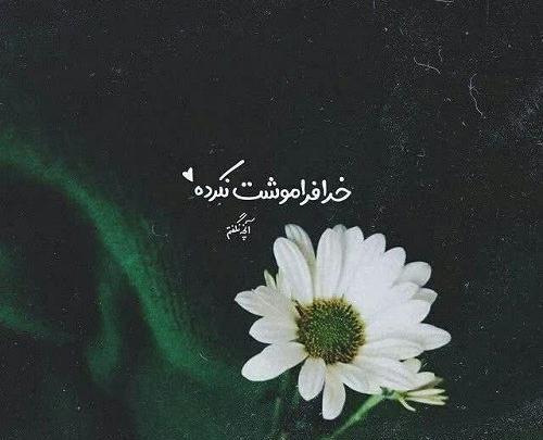 عکس تصاویر بسیار زیبا برای پروفایل واتساپ