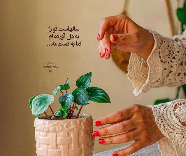 عکس تصاویر زیبا پروفایل واتساپ