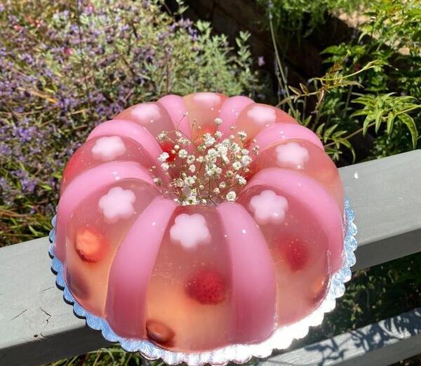 عکس از ژله ویترینی