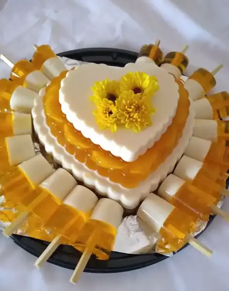 عکس لباس ژله