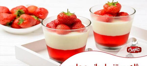 عکس قالب ژله تک نفره