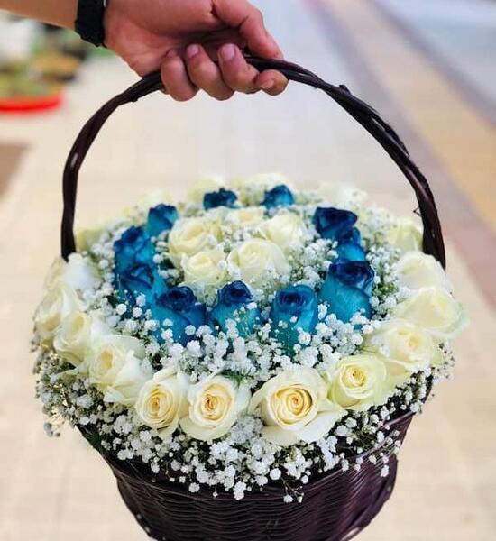 عکس رز آبی زیبا