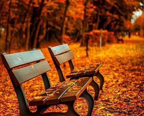عکس های زیبا از پاییز