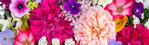 عکس زیباترین گل جهان واقعی