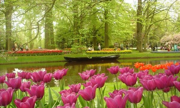 عکس های زیبا از طبیعت هلند