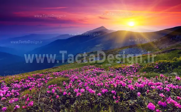 عکس طبیعت سه بعدی زیبا