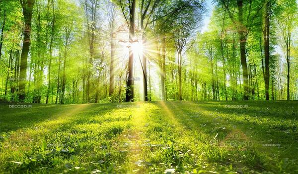عکس طبیعت سه بعدی زیبا