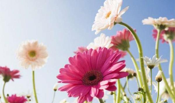 عکسهای بسیار زیبا از طبیعت سراسر دنیا