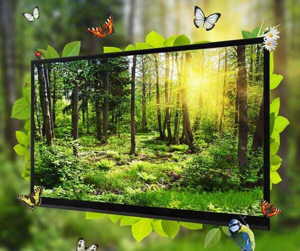 دانلود عکس زیبا از طبیعت
