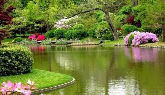 عکس طبیعت زیبای چین
