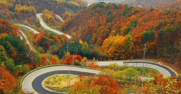 عکس های زیبای طبیعت پاییزی