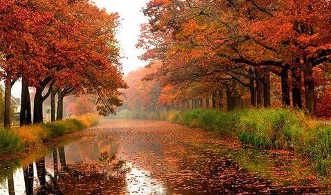 عکس های زیبای طبیعت پاییزی