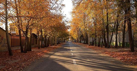عکس های زیبای طبیعت پاییزی