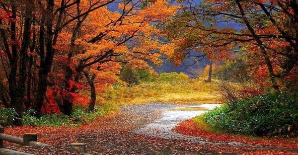 عکس های زیبای طبیعت پاییزی