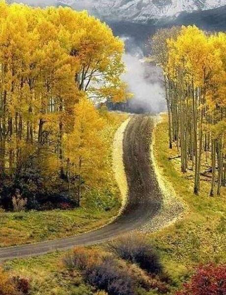 دانلود عکس های طبیعت زیبای پاییزی