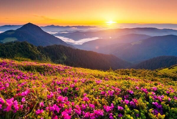 عکس زیبا از طبیعت برای استوری