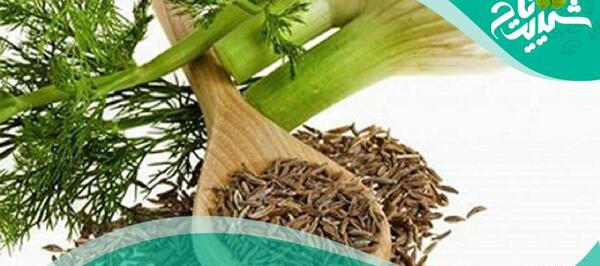 عکس خواص عرق رازیانه