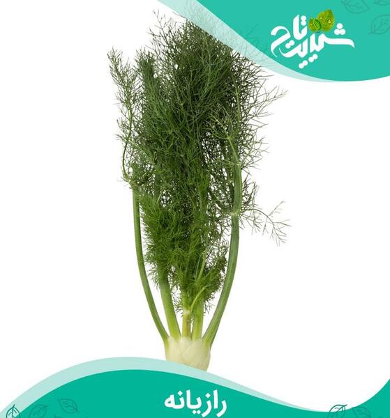 عکس شربت رازیانه برای نوزاد