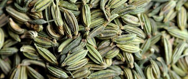 عکس خواص رازیانه