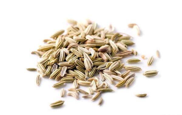 عکس از دمنوش رازیانه